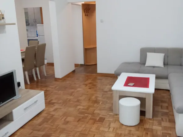 Flandrijski govedar na prodaju, Beograd Vračar