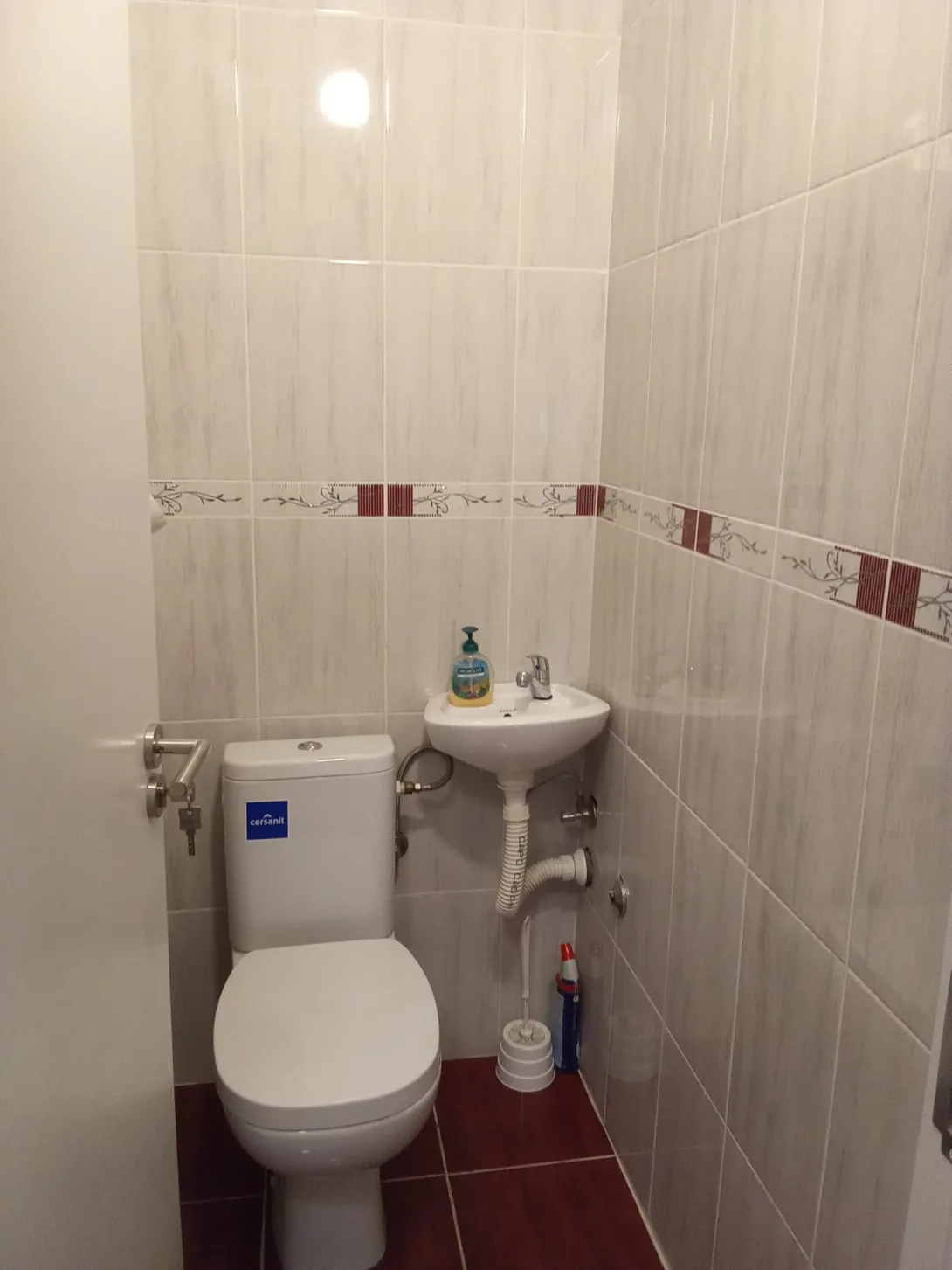 Flandrijski govedar na prodaju, Beograd Vračar (5)